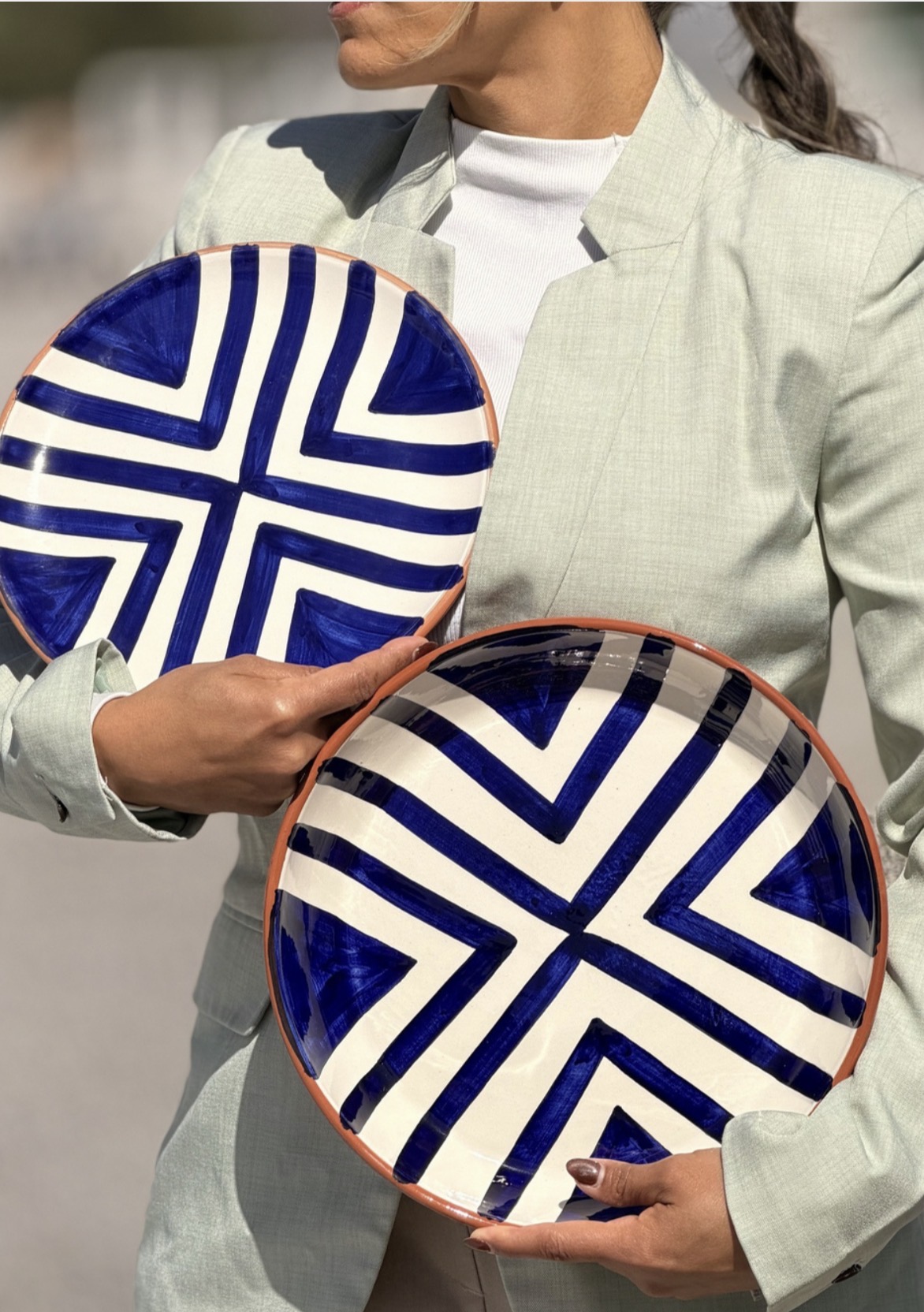 Zebra Geo